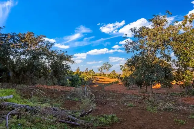 Listing Image for 0 Haleakala Hwy Unit 6 9 of 16
