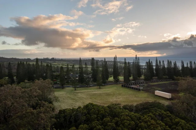 Listing Image for 221 Plantation Club Dr 1 of 28