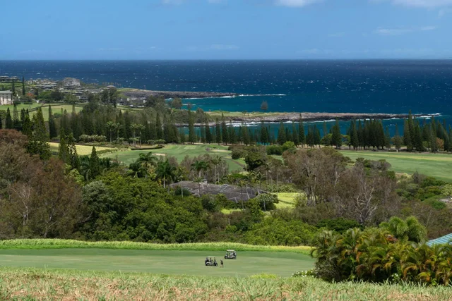 Listing Image for 221 Plantation Club Dr 13 of 28