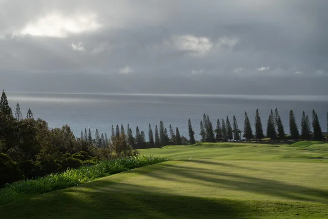 Listing Image for 221 Plantation Club Dr 21 of 28