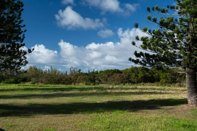 Listing Image for 221 Plantation Club Dr 24 of 28