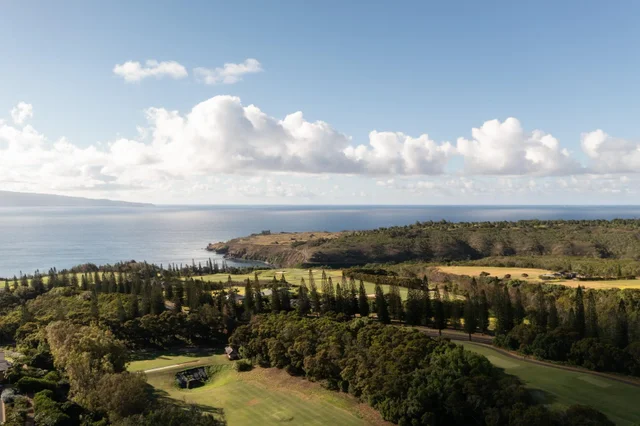 Listing Image for 221 Plantation Club Dr 27 of 28