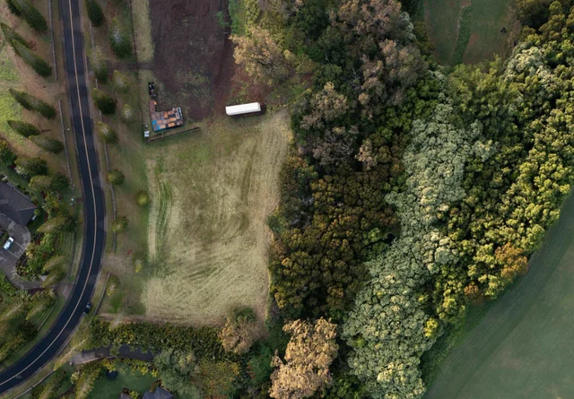 Listing Image for 221 Plantation Club Dr 3 of 28