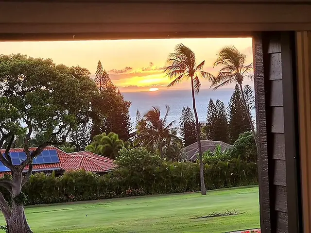 Listing Image for 50 Puu Anoano St 2802 1 of 50