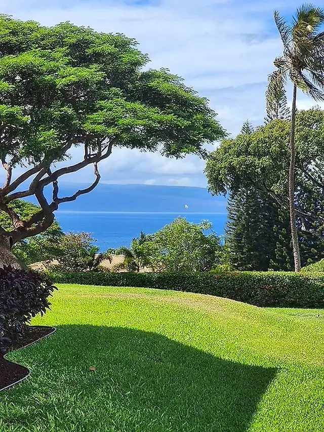 Listing Image for 50 Puu Anoano St 2802 43 of 50
