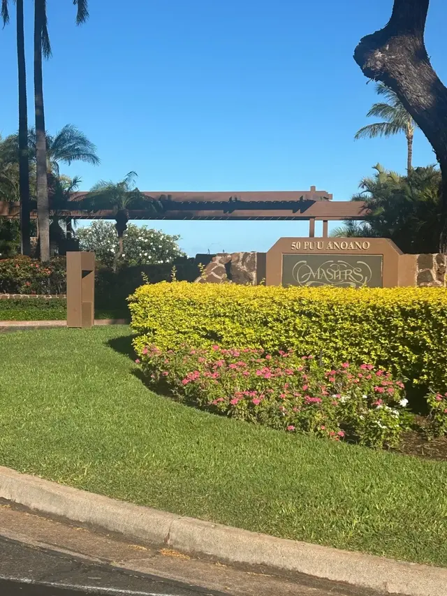 Listing Image for 50 Puu Anoano St 2802 49 of 50