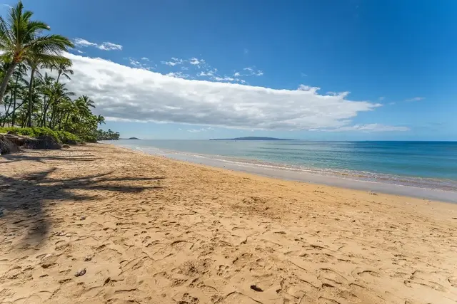 Listing Image for 1450 S Kihei Rd G103 39 of 46
