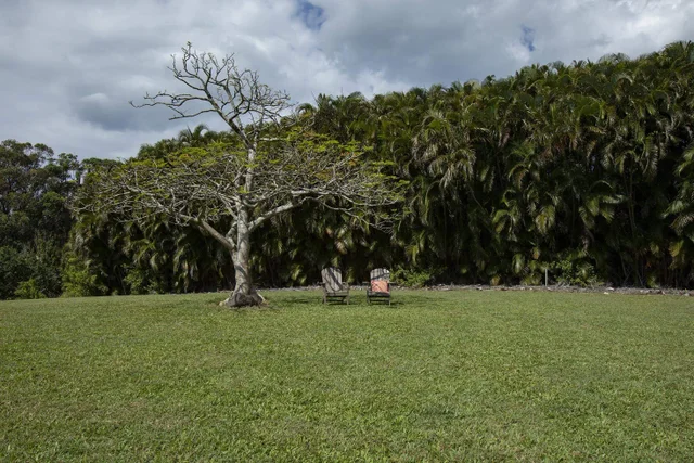 Listing Image for 30 Mamao Pl 29 of 50