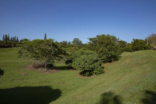 Listing Image for 30 Mamao Pl 34 of 50