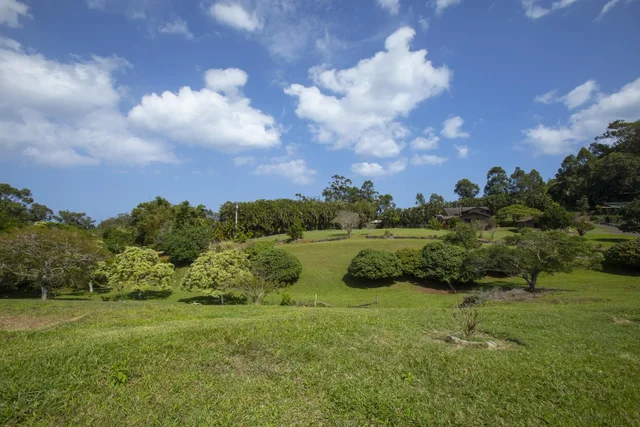 Listing Image for 30 Mamao Pl 39 of 50
