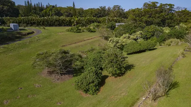 Listing Image for 30 Mamao Pl 41 of 50