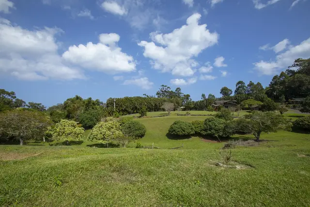 Listing Image for 30 Mamao Pl 42 of 50