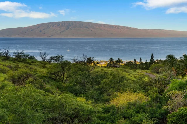 Listing Image for 83 Lau Niu Way #a 47 of 50