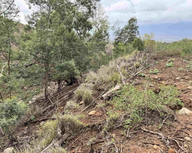 Listing Image for 143 Elepaio Pl 11 of 14