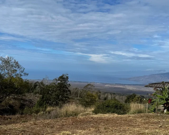 Listing Image for 143 Elepaio Pl 2 of 14