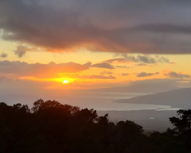 Listing Image for 143 Elepaio Pl 3 of 14