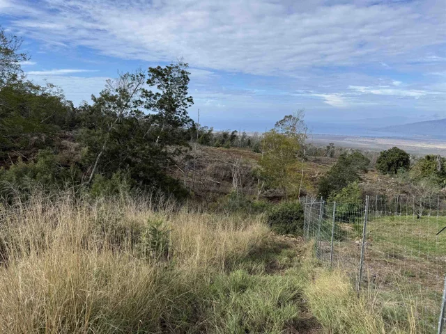 Listing Image for 143 Elepaio Pl 7 of 14