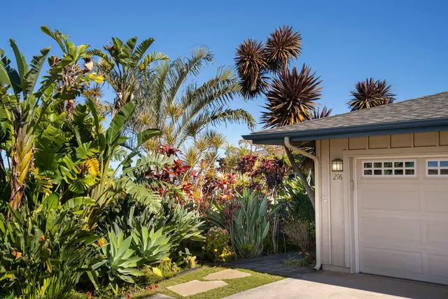 Listing Image for 296 Kulamanu Cir 219 3 of 35