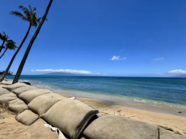 Listing Image for 4365 Lower Honoapiilani Rd 115 32 of 44