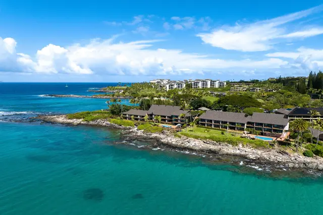 Listing Image for 49 Kapalua Pl 211 40 of 50