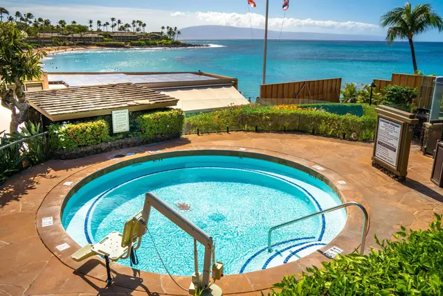 Listing Image for 49 Kapalua Pl 211 42 of 50