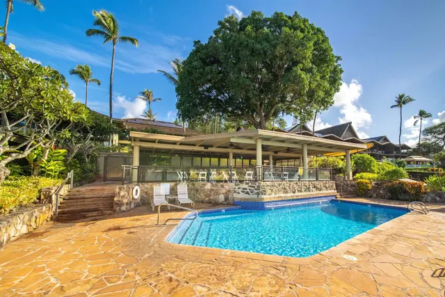 Listing Image for 49 Kapalua Pl 211 44 of 50