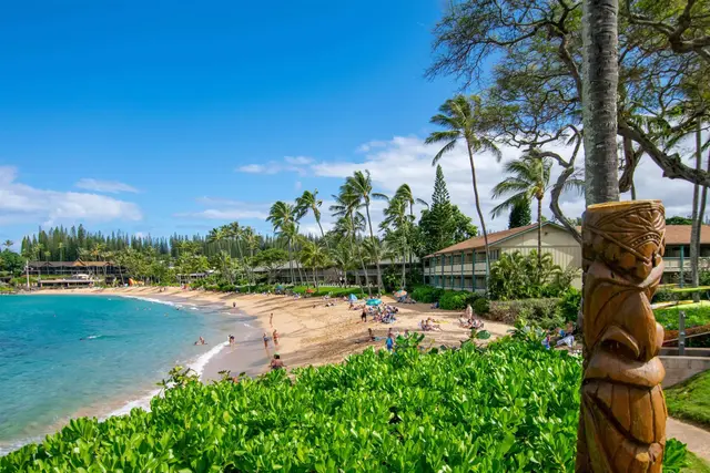 Listing Image for 49 Kapalua Pl 211 45 of 50
