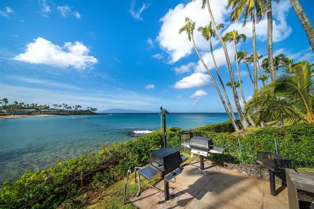 Listing Image for 49 Kapalua Pl 211 46 of 50