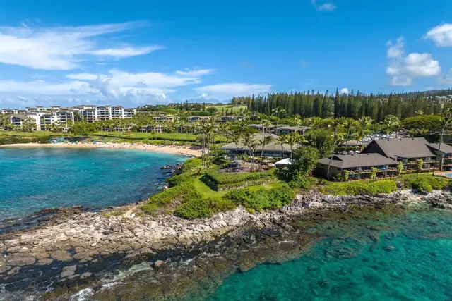 Listing Image for 49 Kapalua Pl 211 47 of 50