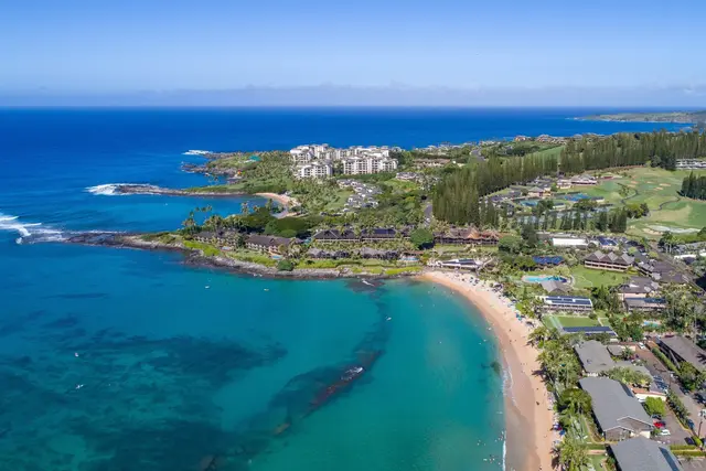 Listing Image for 49 Kapalua Pl 211 50 of 50