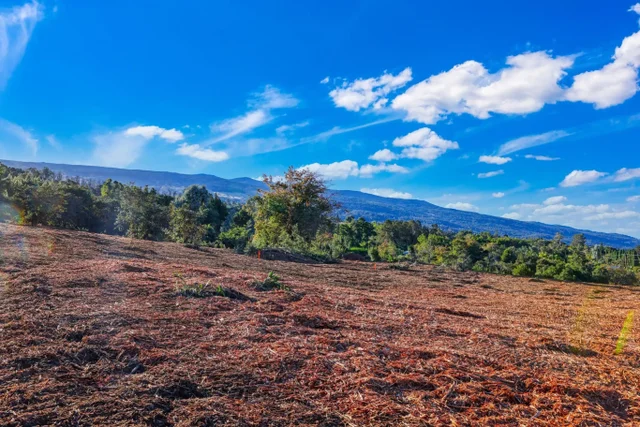 Listing Image for 0 Haleakala Hwy Unit 4 5 of 10