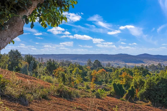 Listing Image for 0 Haleakala Hwy Unit 4 6 of 10