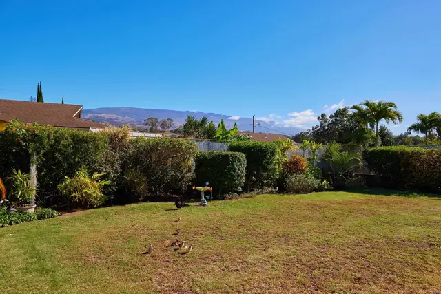 Listing Image for 740 Makawao Ave 37 of 39
