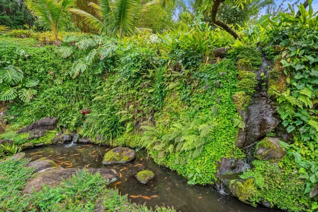 Listing Image for 1055 Kaupakalua Rd 38 of 46