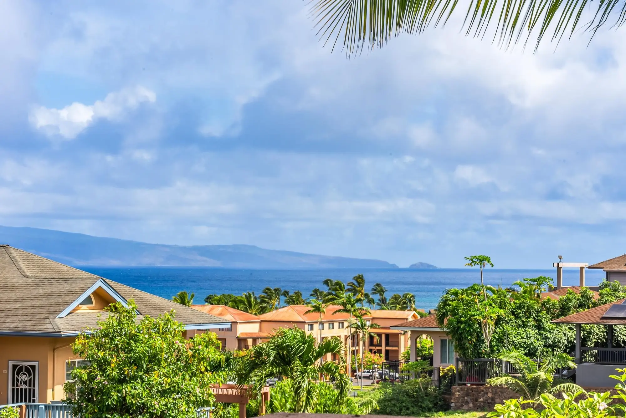 Photo of Listing #406623