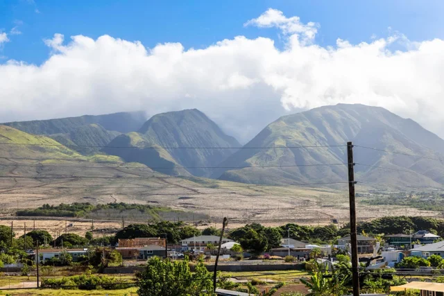 Listing Image for 475 Front St 326 5 of 23