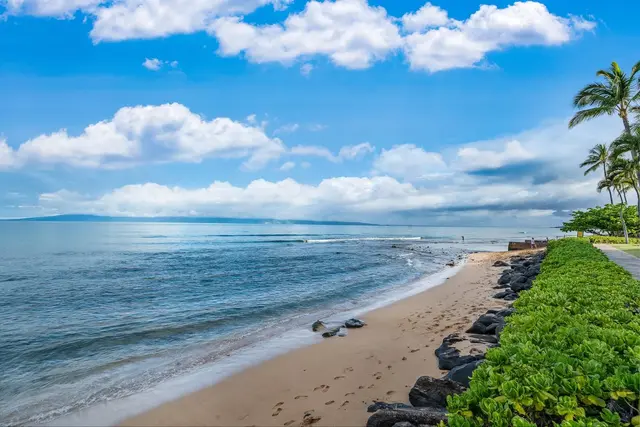 Listing Image for 3445 Lower Honoapiilani Rd 551 38 of 50
