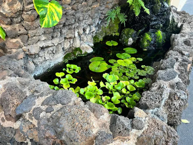 Listing Image for 2385 S Kihei Rd 507 37 of 47