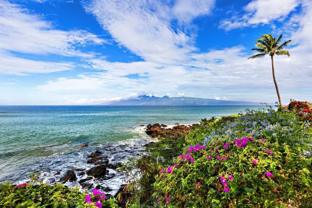 Listing Image for 3959 Lower Honoapiilani Rd 313 32 of 41