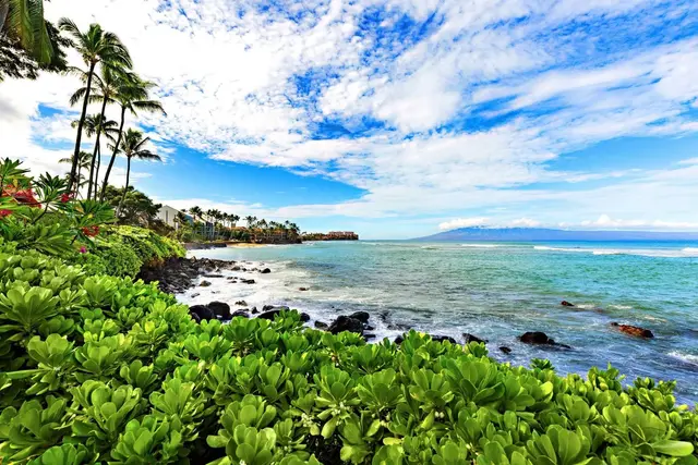 Listing Image for 3959 Lower Honoapiilani Rd 313 33 of 41