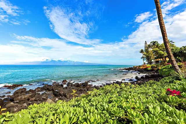 Listing Image for 3959 Lower Honoapiilani Rd 313 34 of 41