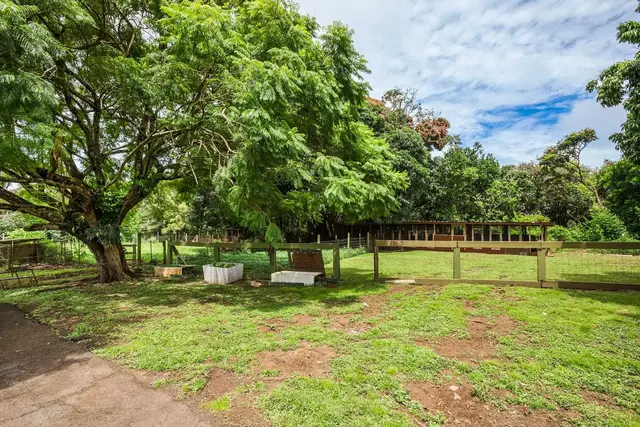 Listing Image for 710 Mopua St 23 of 25