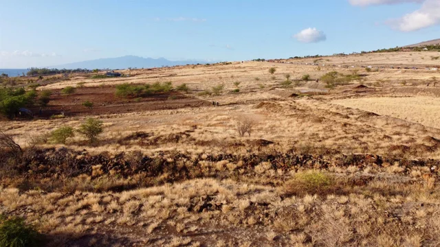 Listing Image for 1510 Waianukole St C 2 of 5