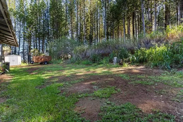 Listing Image for 2481 Lilikoi Rd 25 of 42