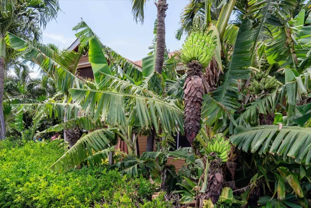 Listing Image for 140 Uwapo Rd 39-102 27 of 40