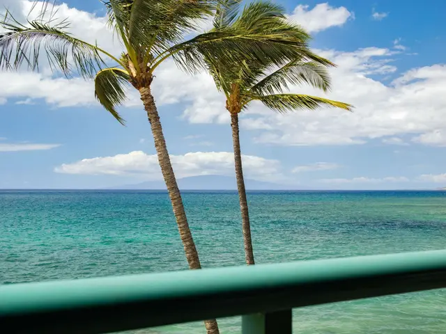 Listing Image for 2142 Iliili Rd 304 13 of 50