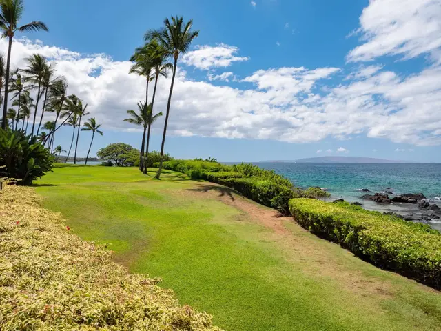 Listing Image for 2142 Iliili Rd 304 33 of 50