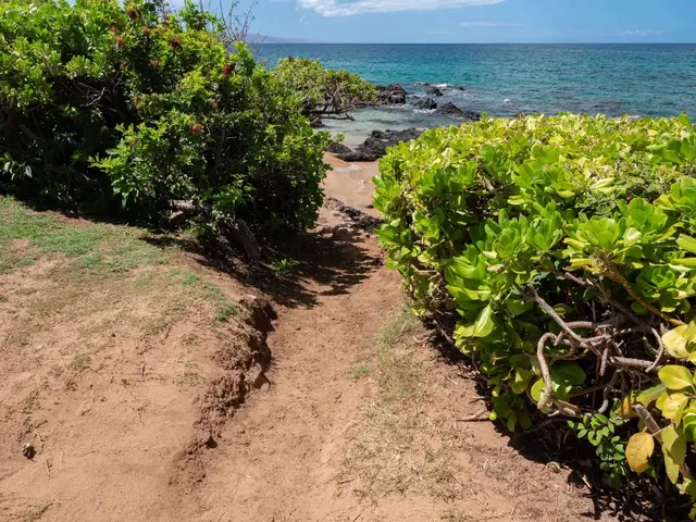 Listing Image for 2142 Iliili Rd 304 34 of 50