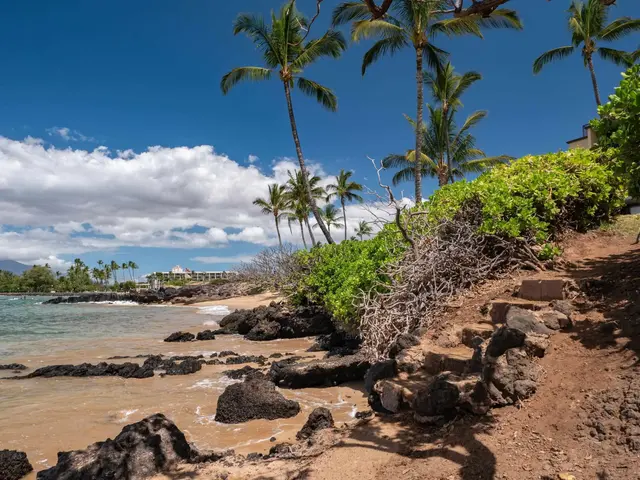 Listing Image for 2142 Iliili Rd 304 35 of 50