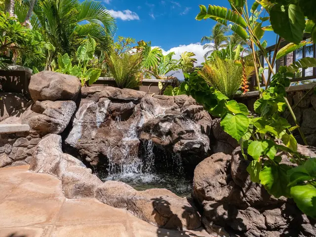 Listing Image for 2142 Iliili Rd 304 41 of 50